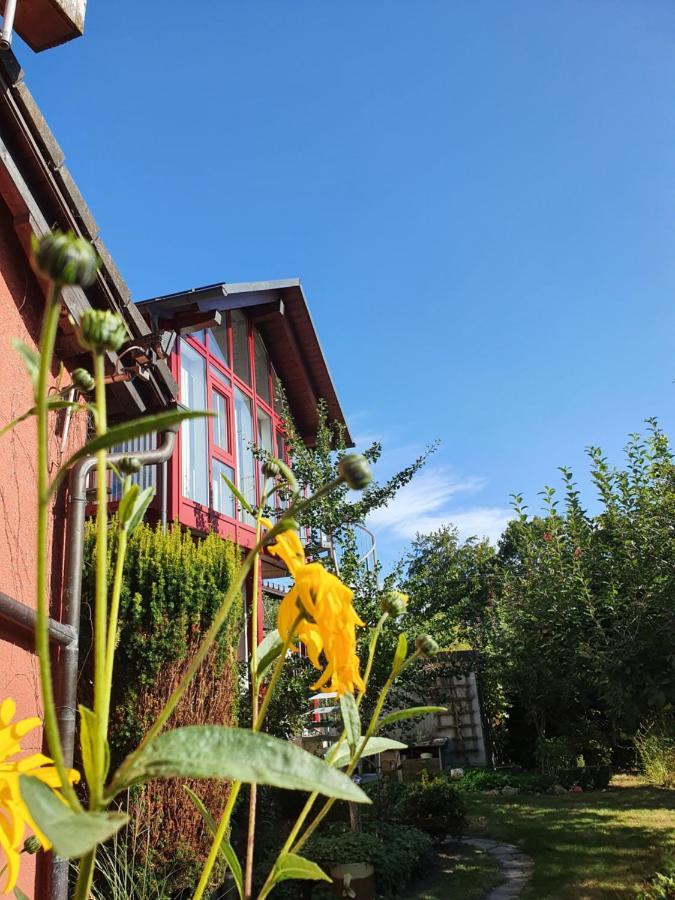 Gastehaus Aurelia Apartment Wiesau Exterior photo